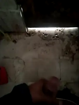 AuthorizedLighter339 live sex cam