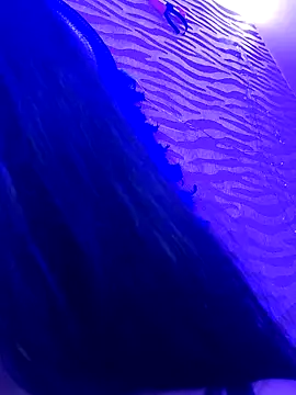 KARISHMA-STRIP live sex cam