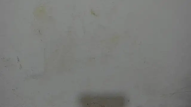 valeriayvioleta69's cam snapshot