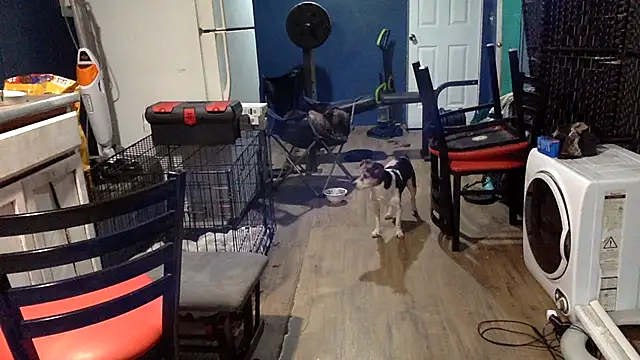 sexyhotstud12's cam snapshot