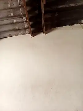 average_price live sex cam