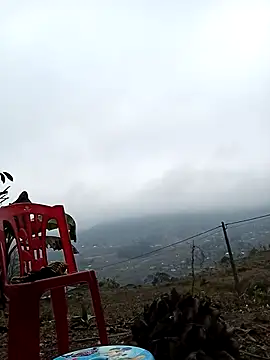 bing-bing88's cam snapshot