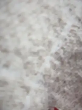 NikaMur live sex cam