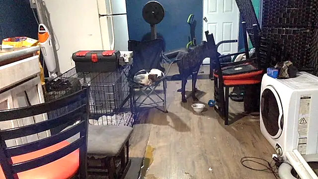 sexyhotstud12's cam snapshot