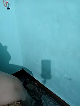 Anjali-bhabhi's cam snapshot