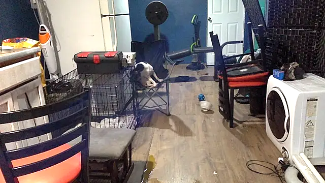 sexyhotstud12's cam snapshot