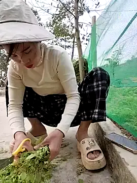 Tin_tanny's cam snapshot