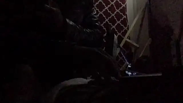 montydxxxx live sex cam