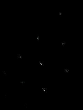 bankruptbabe's cam snapshot