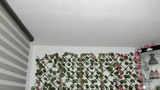 antonella4youu's cam snapshot