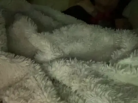 dddasani's cam snapshot