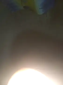 pujarteag live sex cam