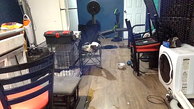 sexyhotstud12's cam snapshot