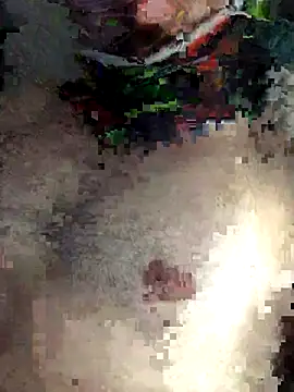 Pancho2213's cam snapshot