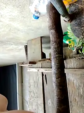 Georgia_here's cam snapshot