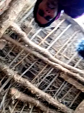 Neha6060's cam snapshot