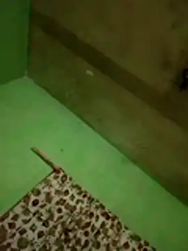 Alonsomadeira's cam snapshot