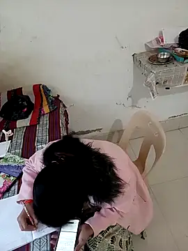 Nidhi-cam's cam snapshot