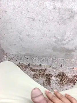 xmanrawan2 live sex cam