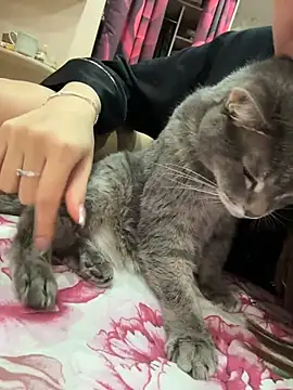 ElliRose live sex cam