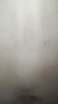 Krasav4ik4ik live sex cam