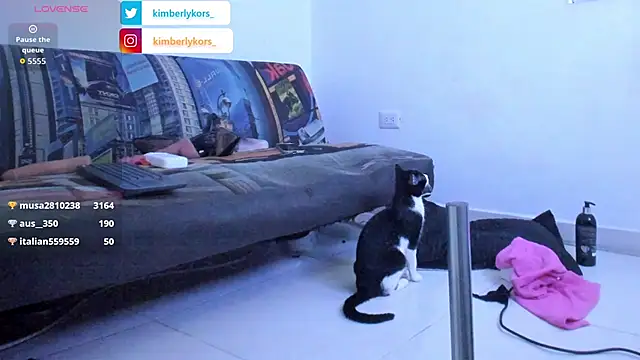Kimberlykors live sex cam