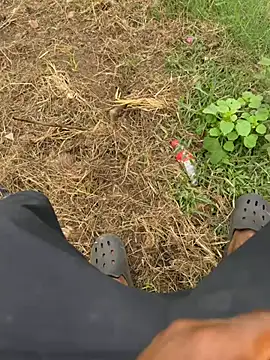 Black-mamba-madingo live sex cam