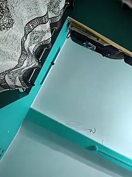 dipikamodal's cam snapshot