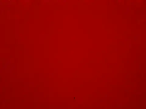 Saucefull2's cam snapshot