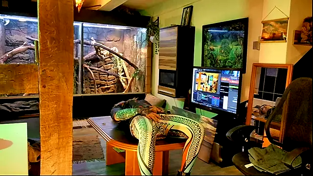 DYasmin69 live sex cam