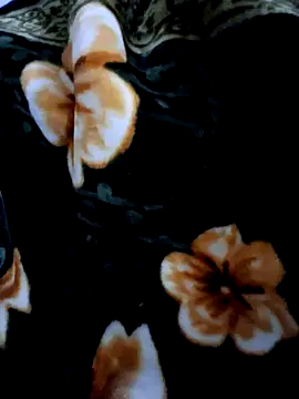 aman4404's cam snapshot