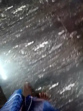 dolphiinn's cam snapshot