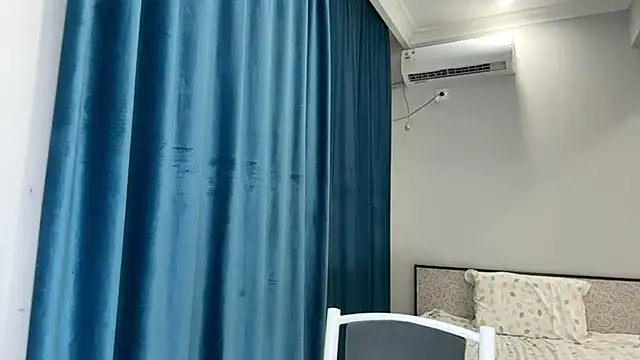 SupremeDividend's cam snapshot