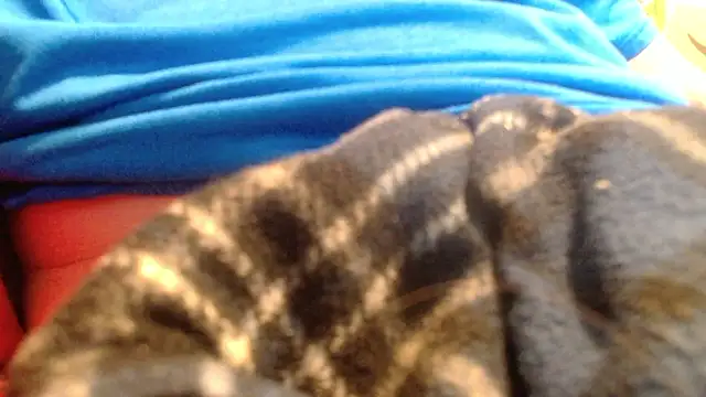 rockhead1971 live sex cam