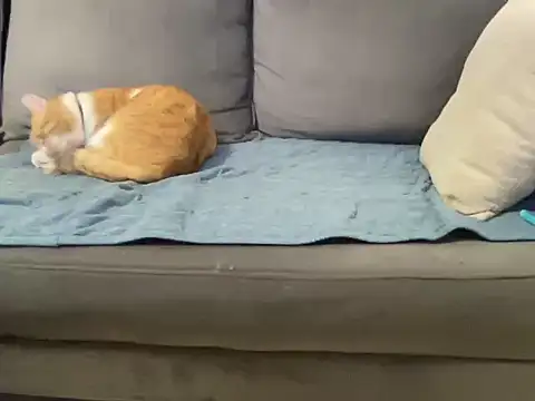 4small4inchlol live sex cam