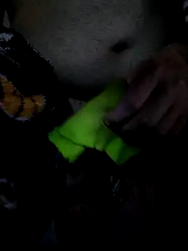 Leocesar37 live sex cam