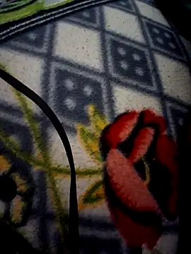 aman4404's cam snapshot