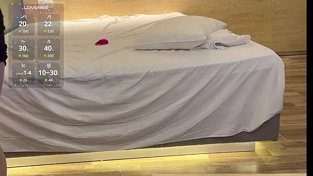 SL-99's cam snapshot