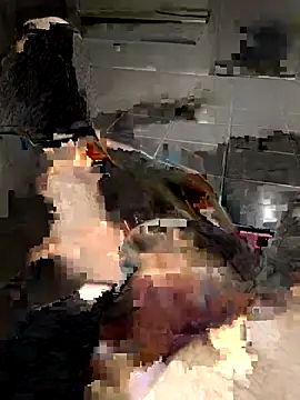 Kinshasa95 live sex cam