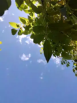 You-sexy-starr live sex cam