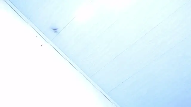 akoradia_mondcm's cam snapshot