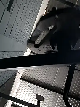 Kingbigcock23cm's cam snapshot