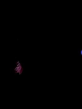 Codybabyy456 live sex cam