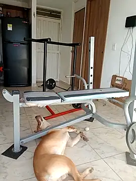 LEIRIS_Y_FRED_01 live sex cam