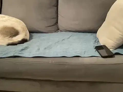 4small4inchlol live sex cam