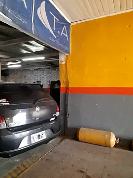 hecwil8 live sex cam