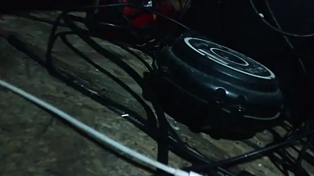 ILOVEhairywoman's cam snapshot