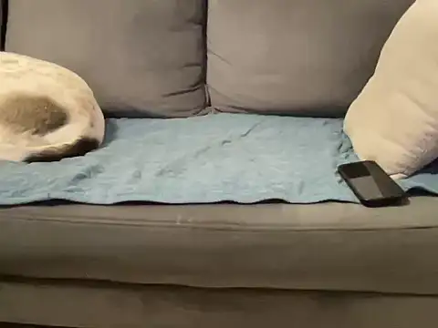 4small4inchlol's cam snapshot