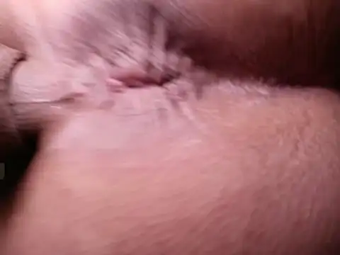 honey_ass25's cam snapshot