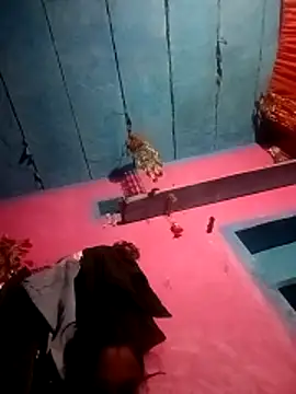 NENSH34's cam snapshot